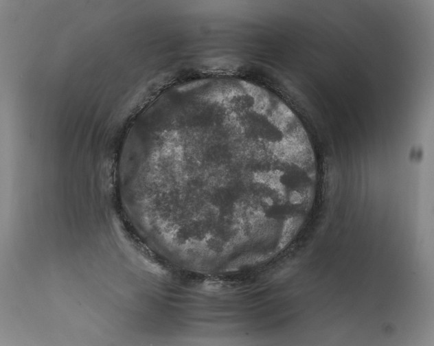 X0000112170641200909041152