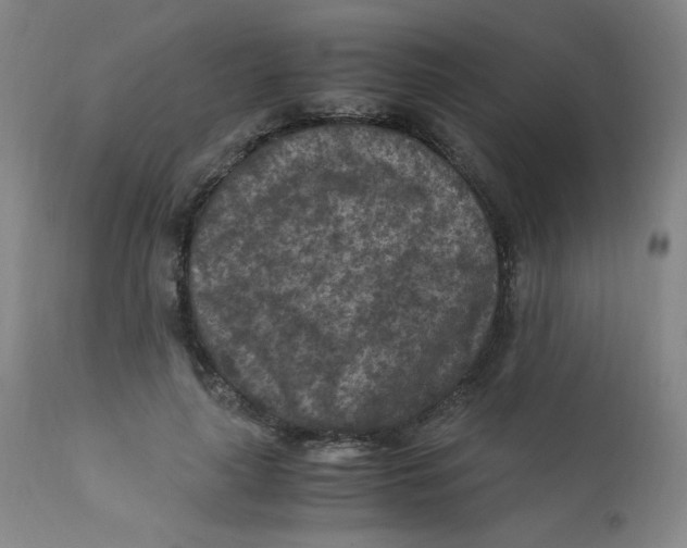 X0000112170643200909041152