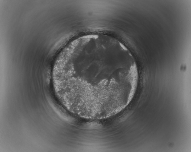 X0000112170644200909041152