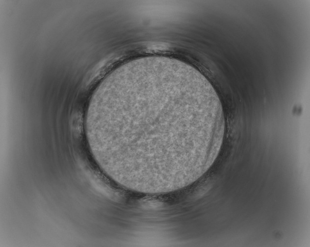 X0000112170648200909041152