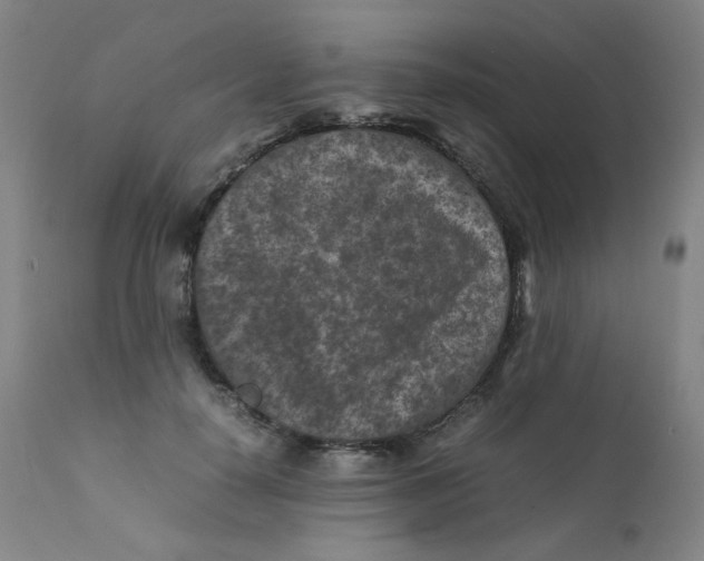 X0000112170650200909041152