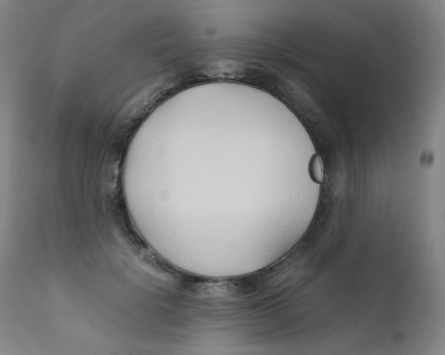 X0000112170652200909041152