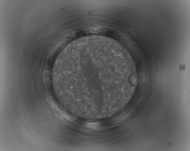 X0000112170653200909041152