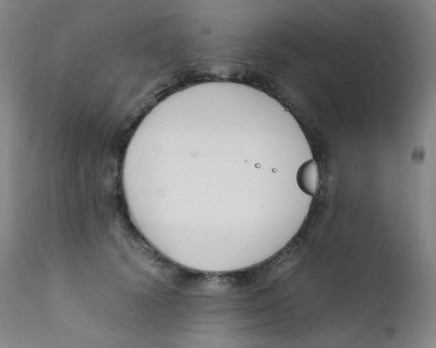 X0000112170656200909041152