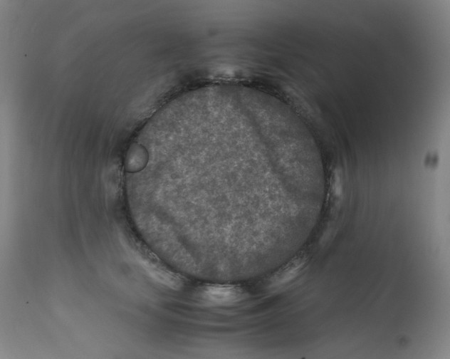 X0000112170659200909041152