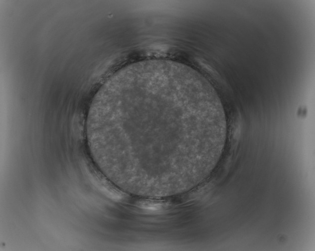 X0000112170661200909041152