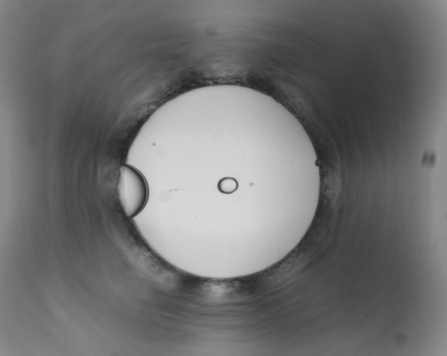 X0000112170662200909041152