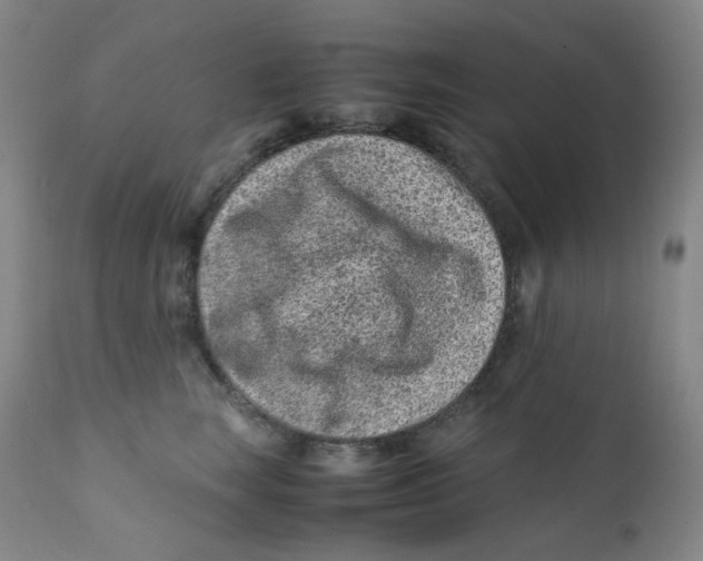 X0000112170663200909041152