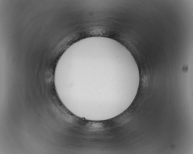 X0000112170665200909041152