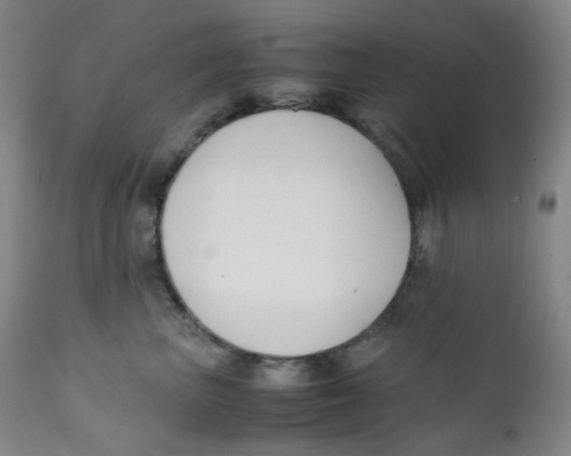 X0000112170667200909041152