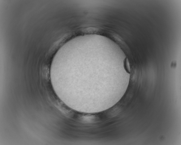 X0000112170669200909041152