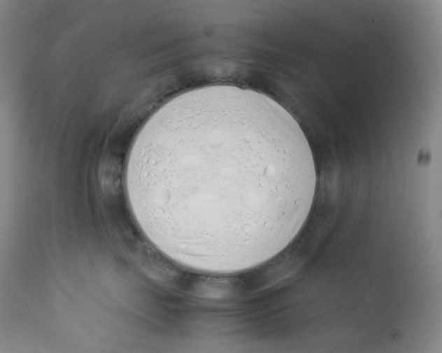 X0000112170671200909041152