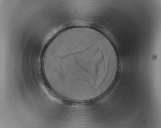 X0000112170674200909041151