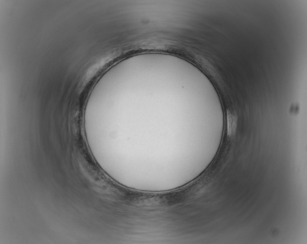 X0000112170675200909041151