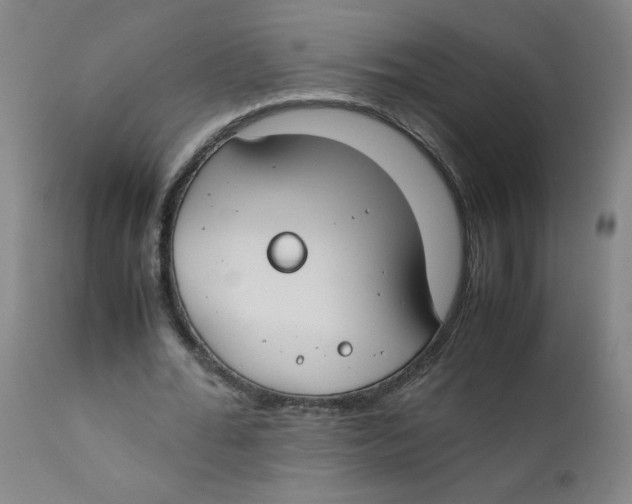 X0000112170676200909041151