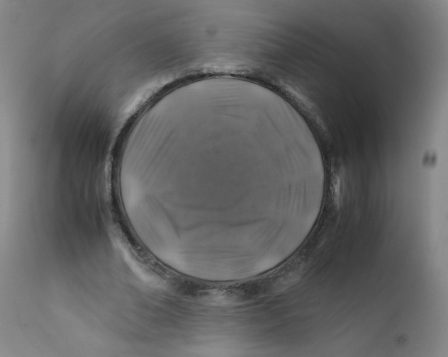 X0000112170678200909041151