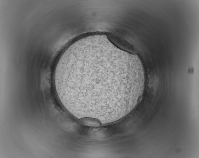 X0000112170680200909041151