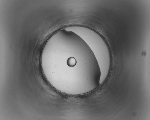 X0000112170681200909041151