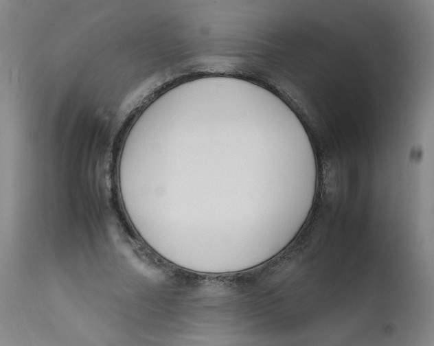 X0000112170682200909041151