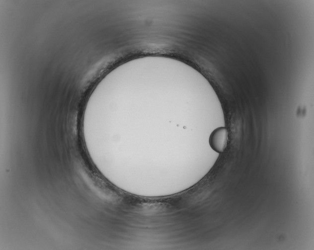 X0000112170686200909041151