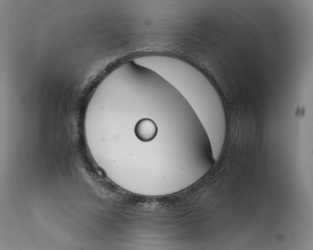 X0000112170688200909041151