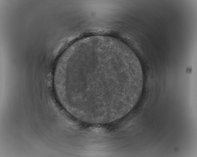 X0000112170689200909041151