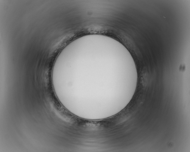 X0000112170690200909041151