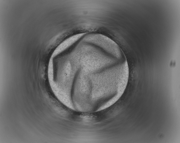 X0000112170693200909041151