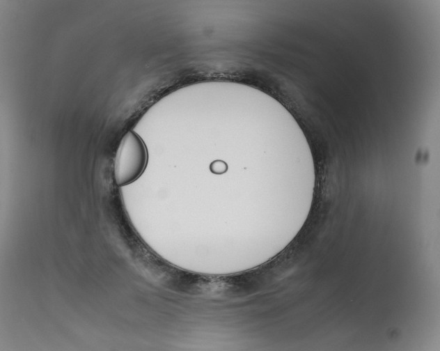 X0000112170695200909041151