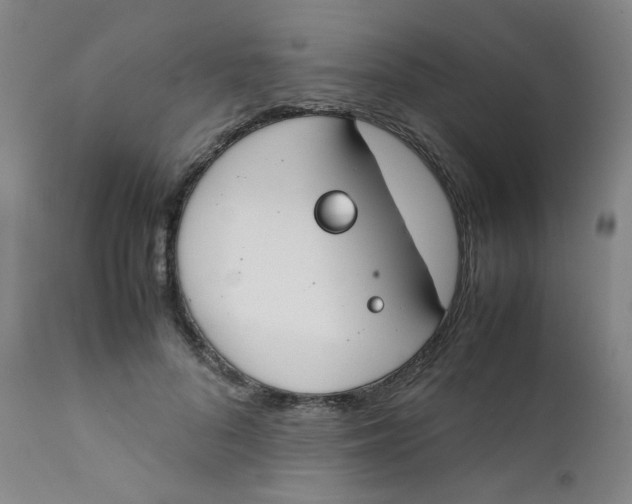 X0000112170696200909041151