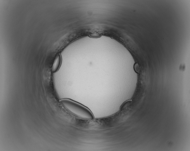 X0000112170697200909041151