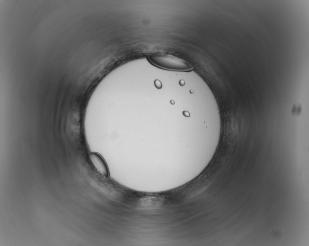 X0000112170700200909041151