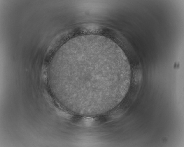 X0000112170701200909041151