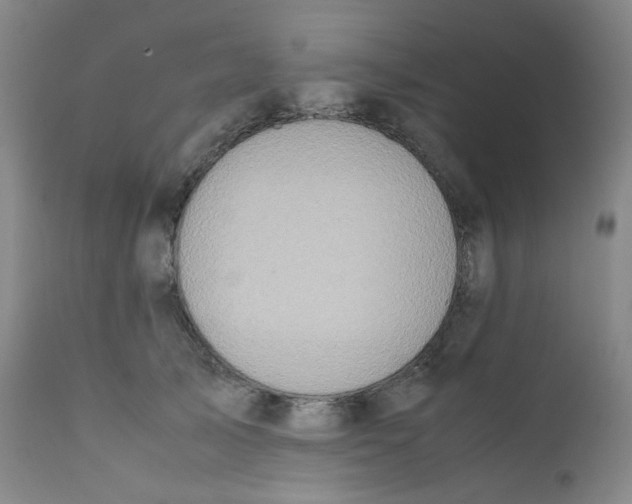 X0000112170705200909041151