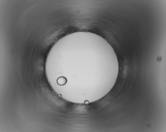 X0000112170710200909041151