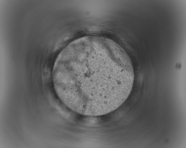 X0000112170711200909041151