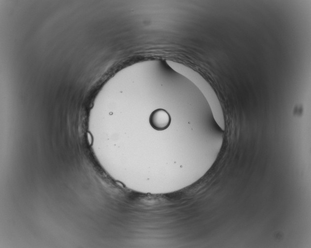 X0000112170712200909041151