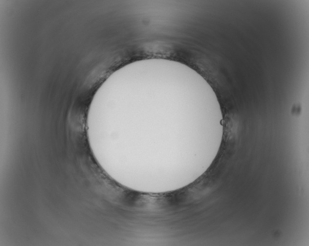 X0000112170713200909041151