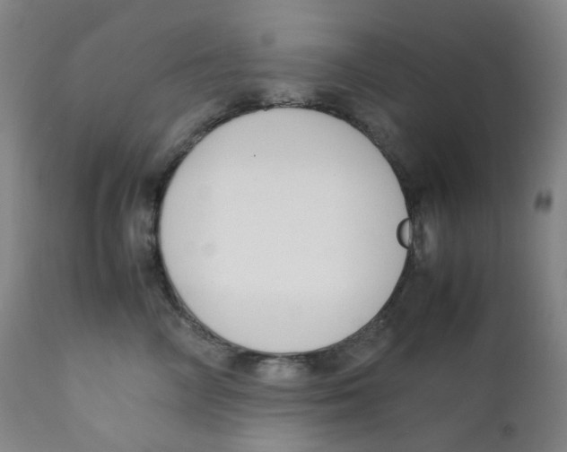 X0000112170714200909041151