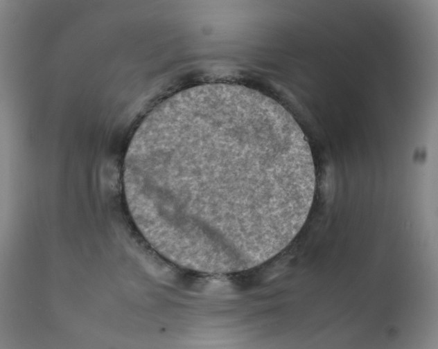 X0000112170715200909041151