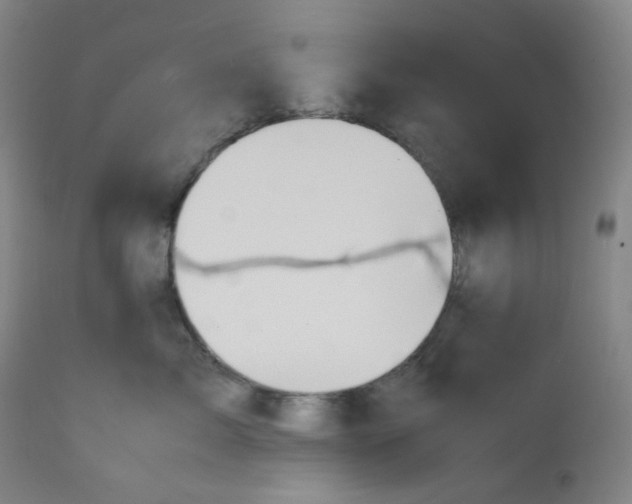 X0000112170717200909041151