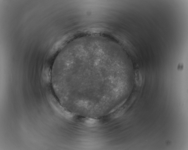 X0000112170718200909041151