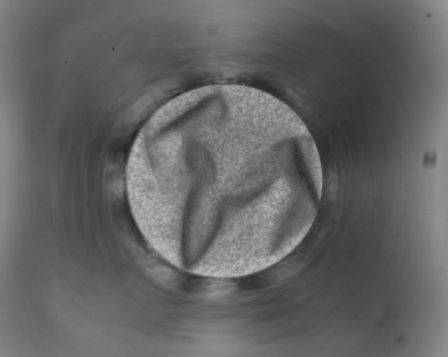 X0000112170719200909041151