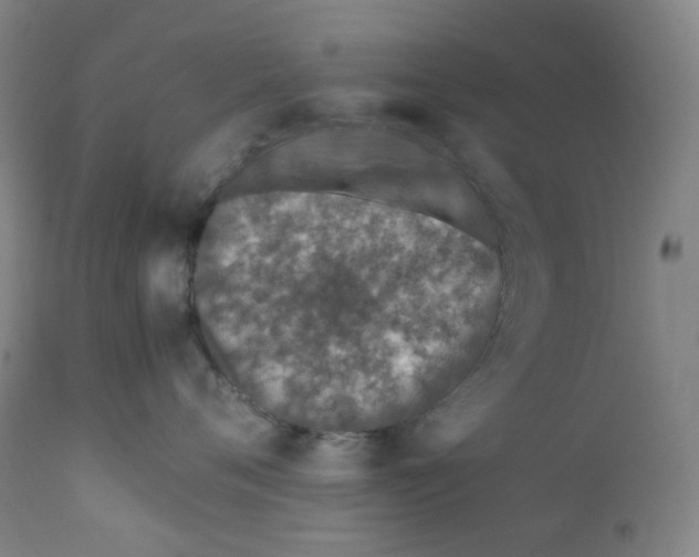 X0000112170720200909041151