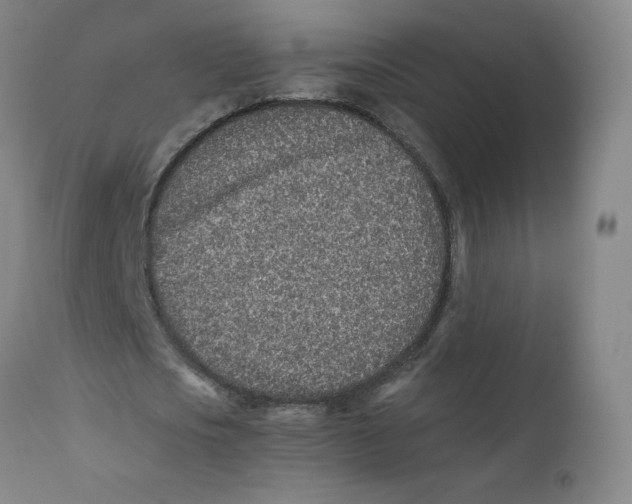 X0000112170721200909041150