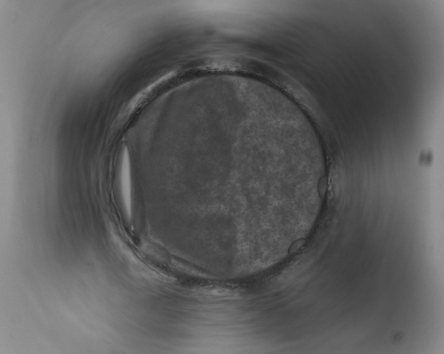 X0000112170722200909041150