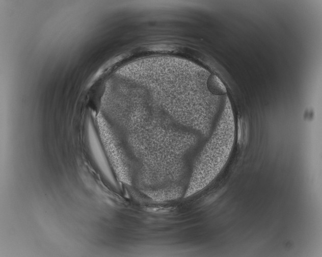 X0000112170723200909041150