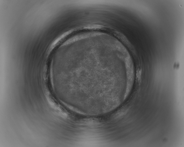 X0000112170724200909041150