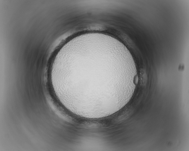 X0000112170726200909041150