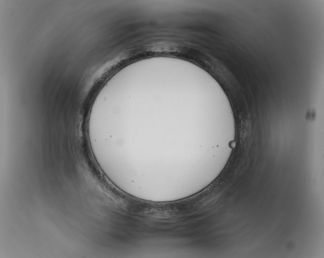 X0000112170727200909041150